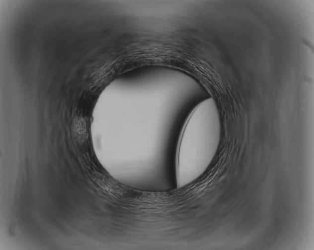 X0000097501347200802220832
