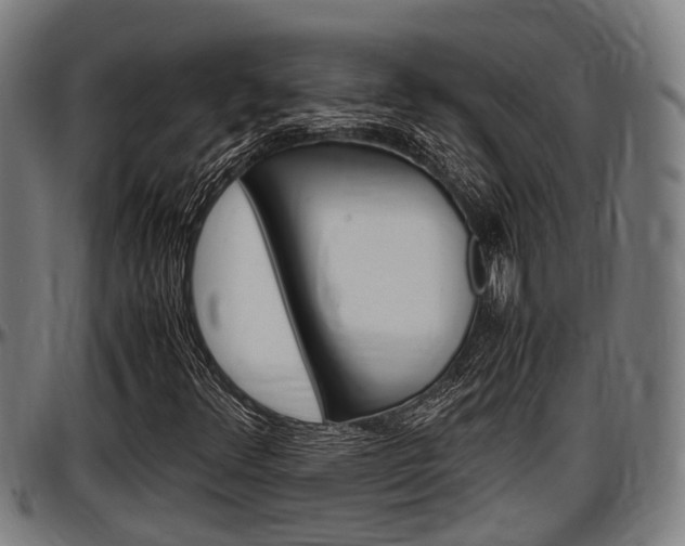 X0000097501348200802220832