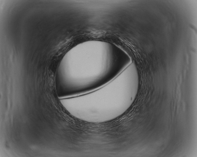 X0000097501349200802220832