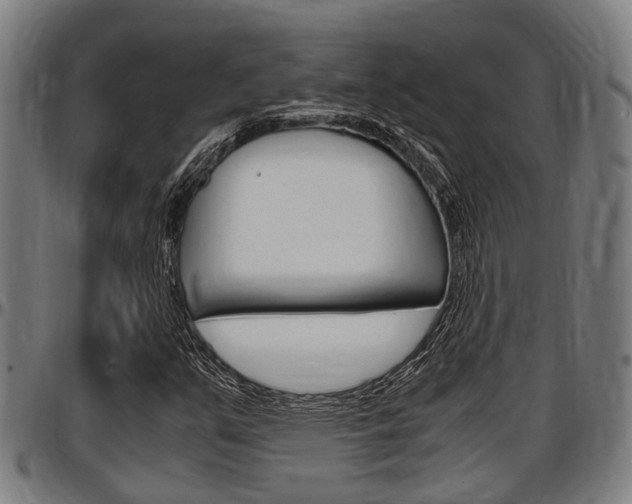 X0000097501351200802220832