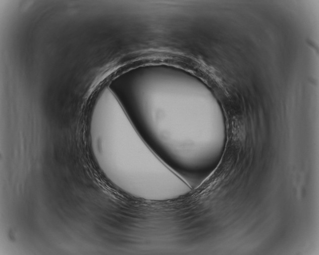 X0000097501352200802220832
