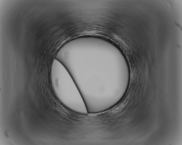 X0000097501353200802220832