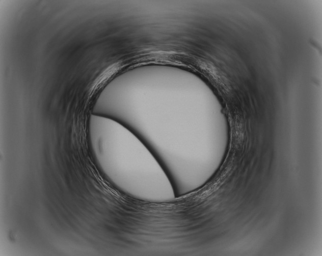 X0000097501354200802220831