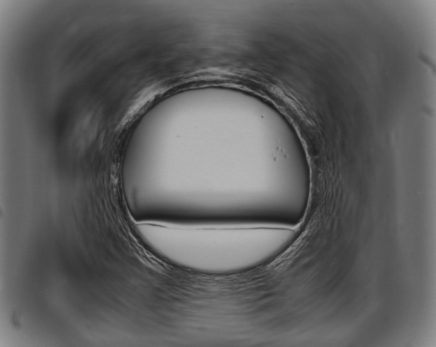 X0000097501355200802220831