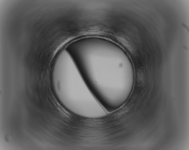 X0000097501356200802220831