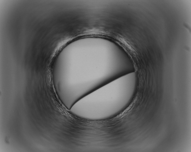 X0000097501358200802220831