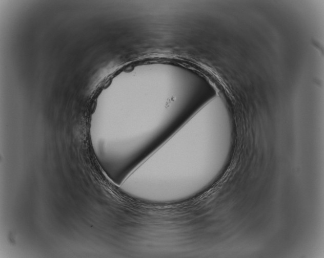 X0000097501359200802220831
