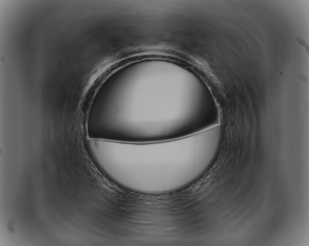 X0000097501360200802220831