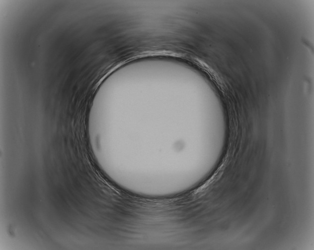 X0000097501361200802220831