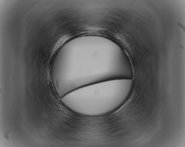 X0000097501362200802220831