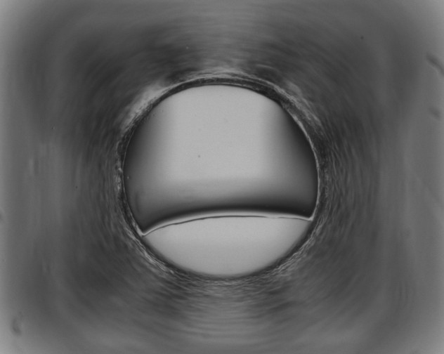 X0000097501363200802220831