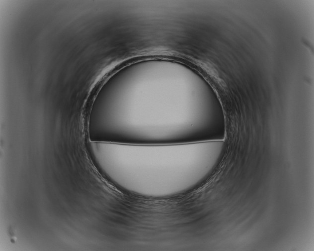 X0000097501364200802220831