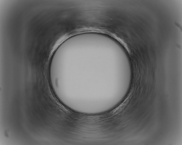 X0000097501365200802220831