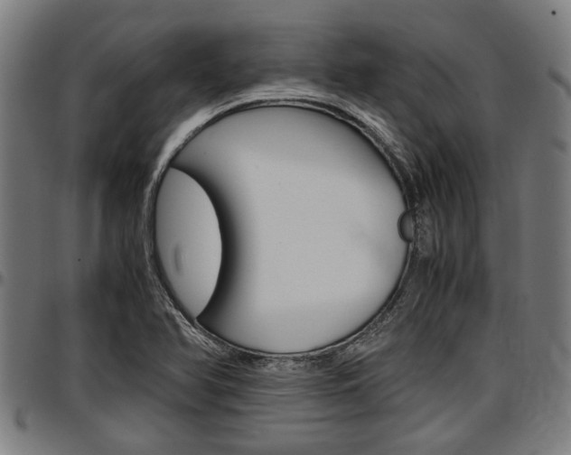 X0000097501366200802220831