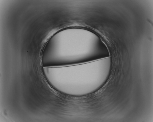 X0000097501367200802220831