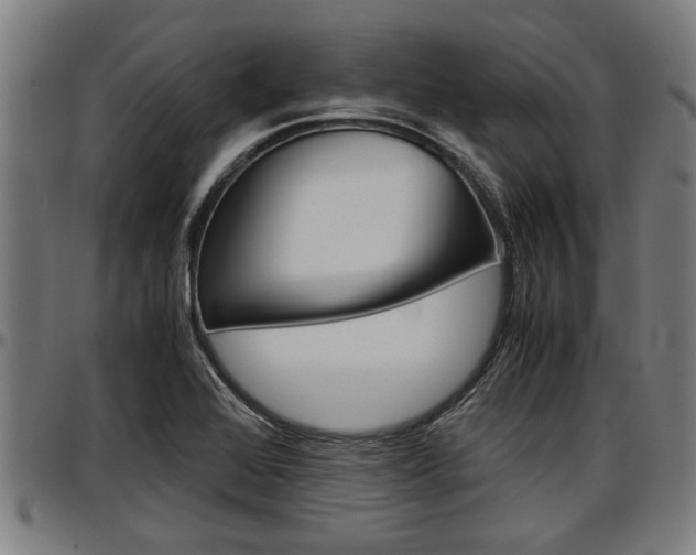 X0000097501368200802220831