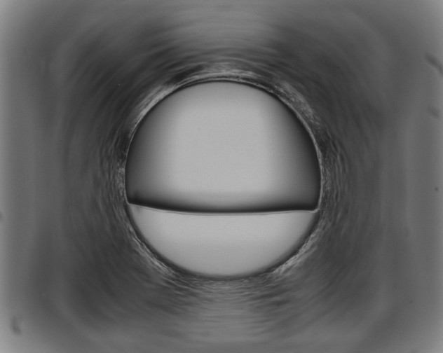 X0000097501369200802220831