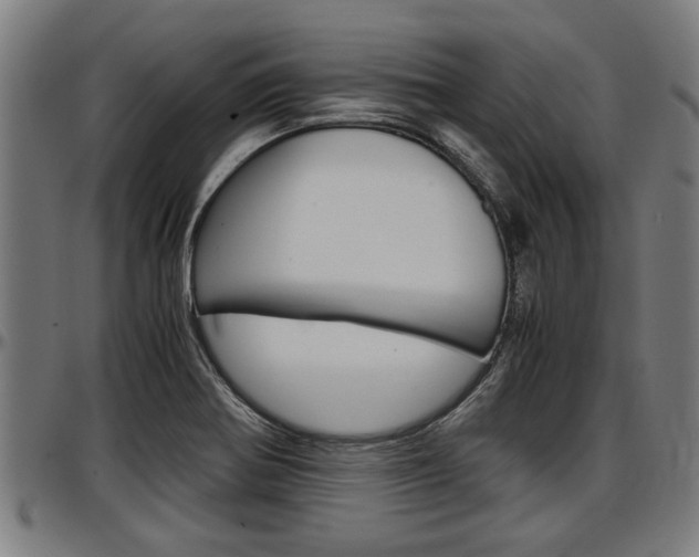 X0000097501370200802220831