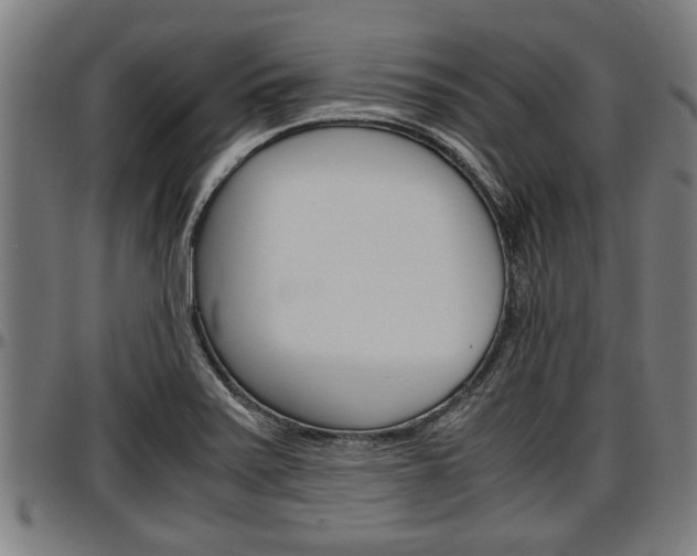 X0000097501371200802220831