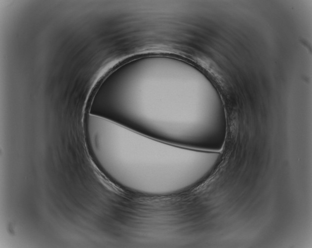 X0000097501372200802220831