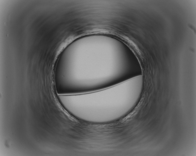 X0000097501373200802220831