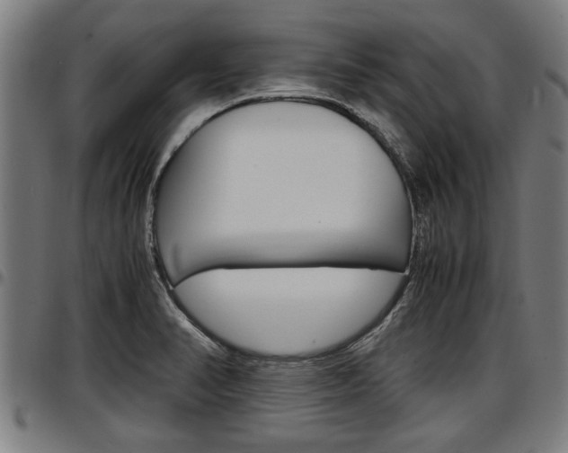 X0000097501374200802220831