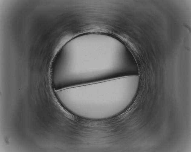 X0000097501375200802220831