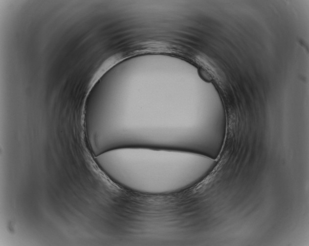 X0000097501378200802220831