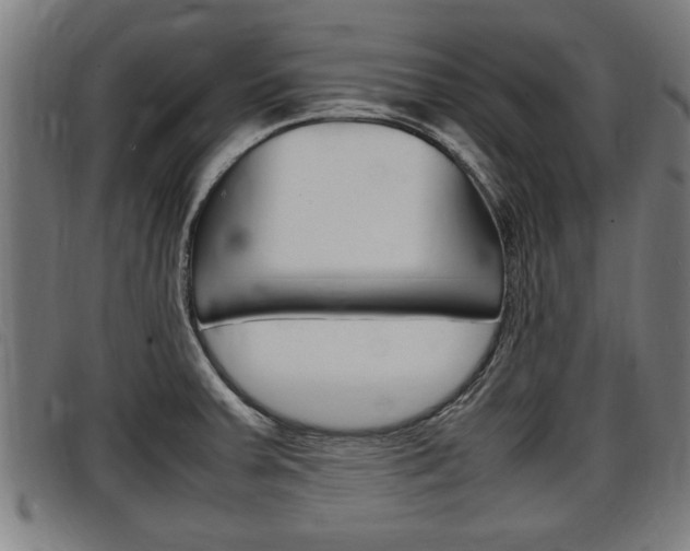 X0000097501379200802220831