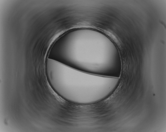 X0000097501380200802220831