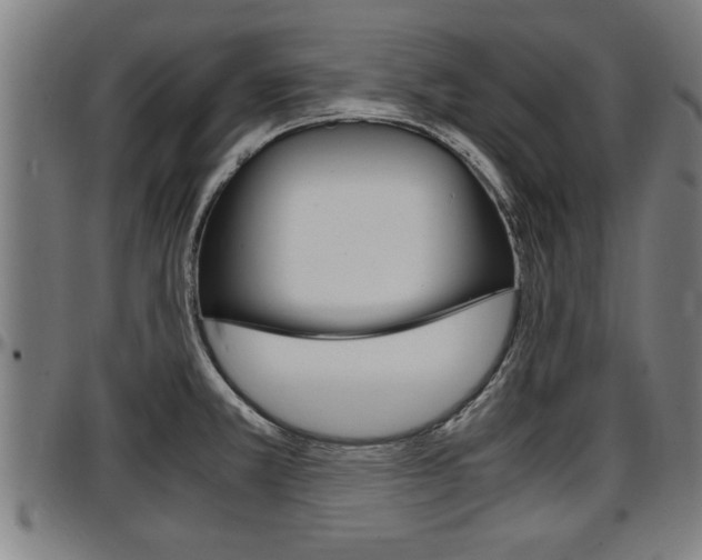 X0000097501381200802220831