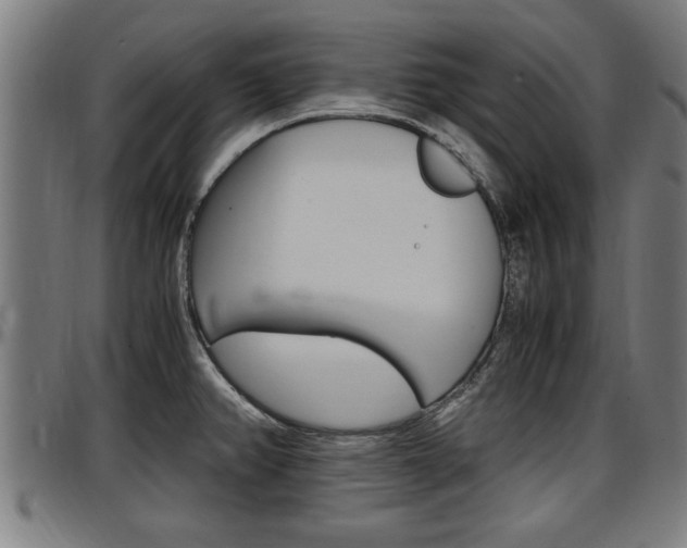 X0000097501382200802220831
