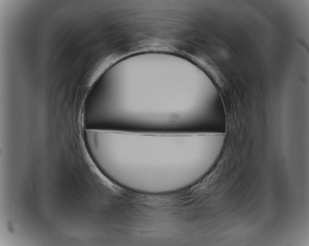 X0000097501383200802220831
