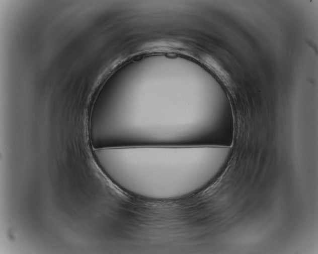 X0000097501384200802220831