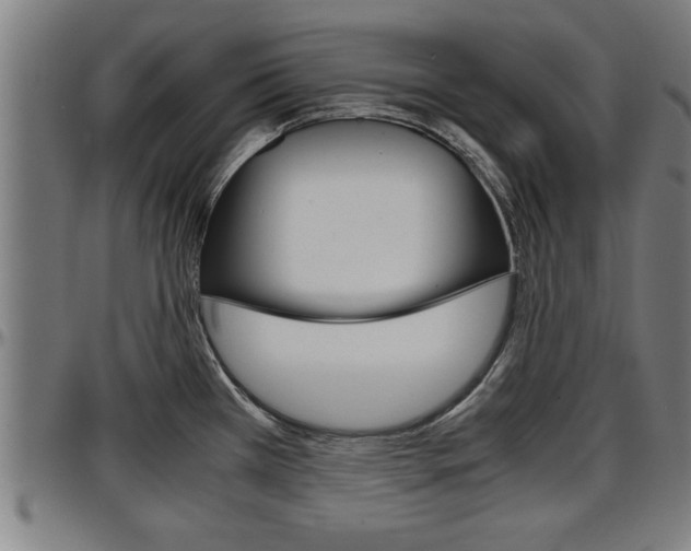 X0000097501385200802220831
