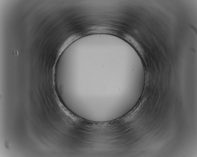 X0000097501386200802220831