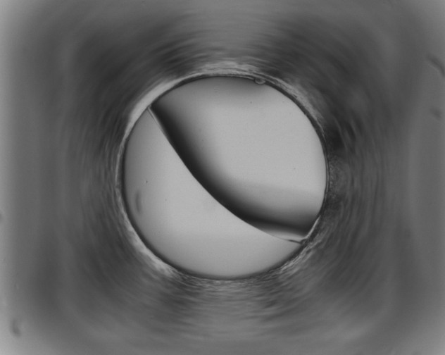 X0000097501387200802220831
