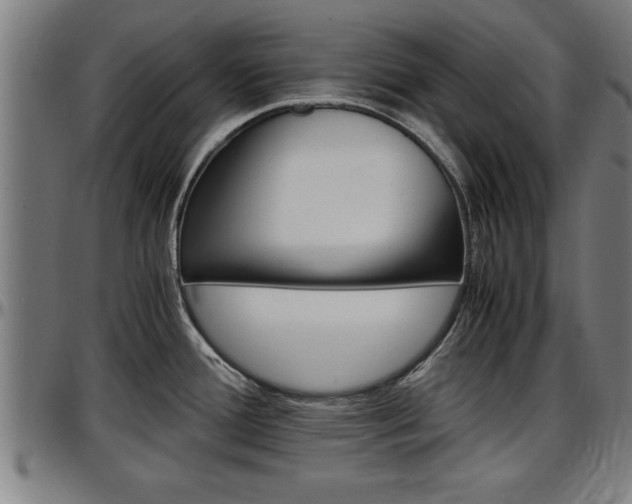 X0000097501388200802220831