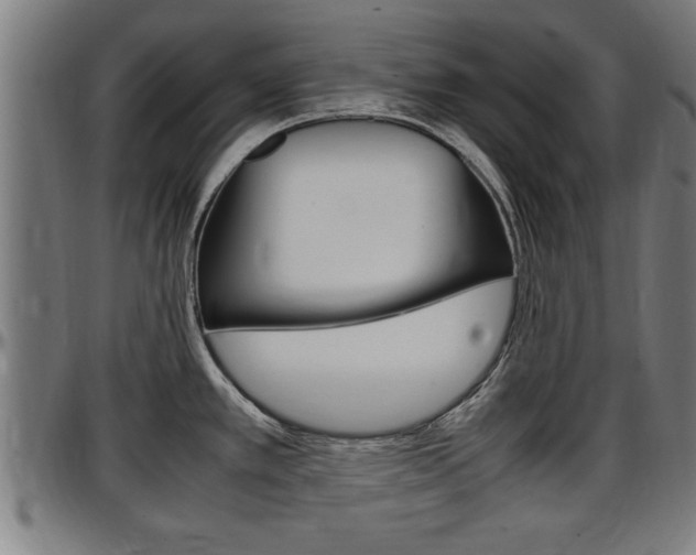 X0000097501389200802220831