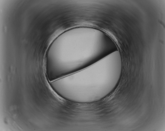 X0000097501391200802220831