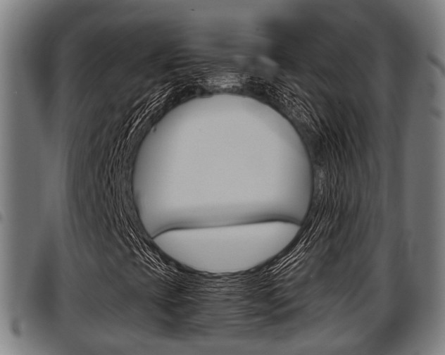 X0000097501393200802220830