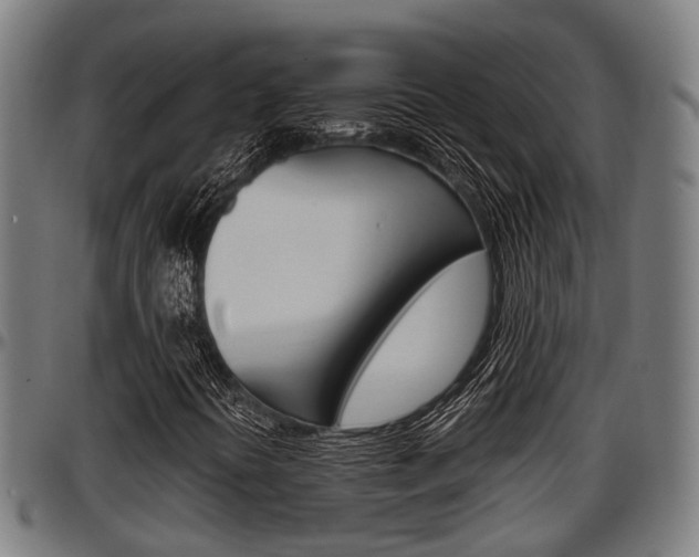 X0000097501394200802220830