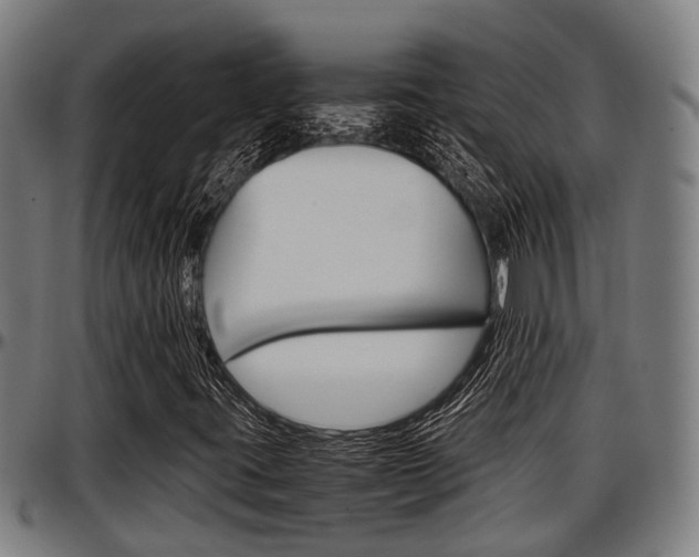X0000097501395200802220830