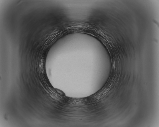 X0000097501396200802220830