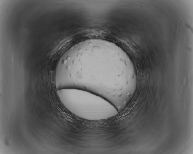 X0000097501399200802220830
