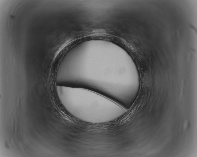X0000097501400200802220830