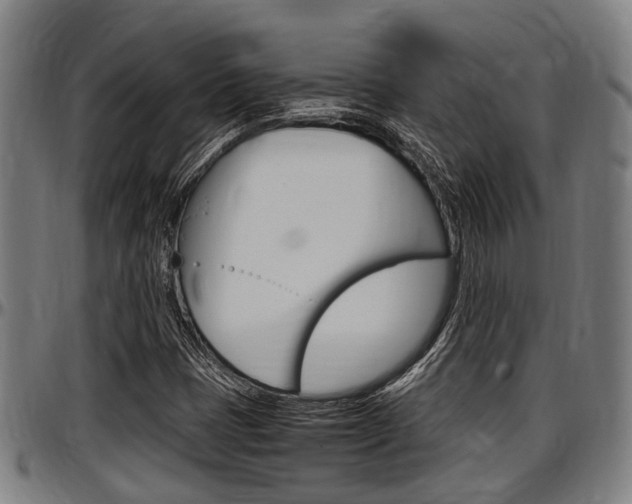 X0000097501401200802220830