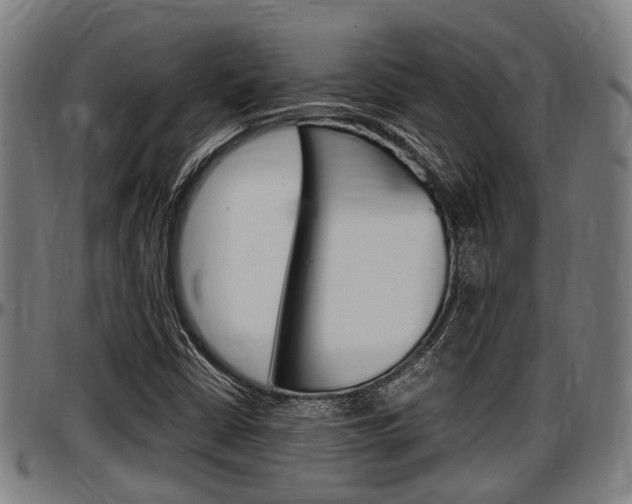 X0000097501402200802220830