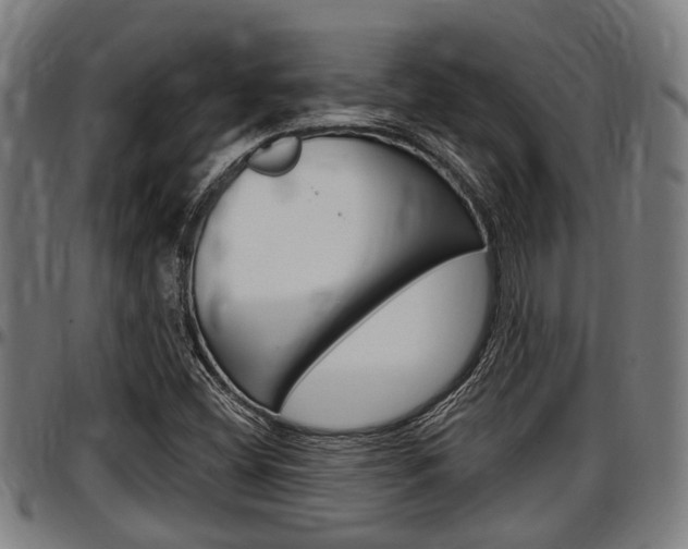 X0000097501404200802220830