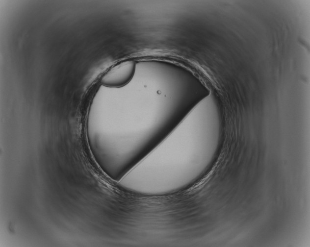 X0000097501406200802220831